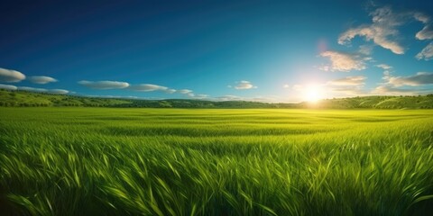 Idyllic Summer Landscape: Green Meadow, Blue Sky, and Radiant Sun Generative AI