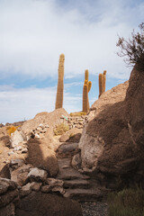 Stone stairs on Incahuasi island on Salar de Uyuni salt flats, Bolivia