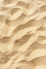 Tranquil Beige Sand with Intricate Natural Designs
