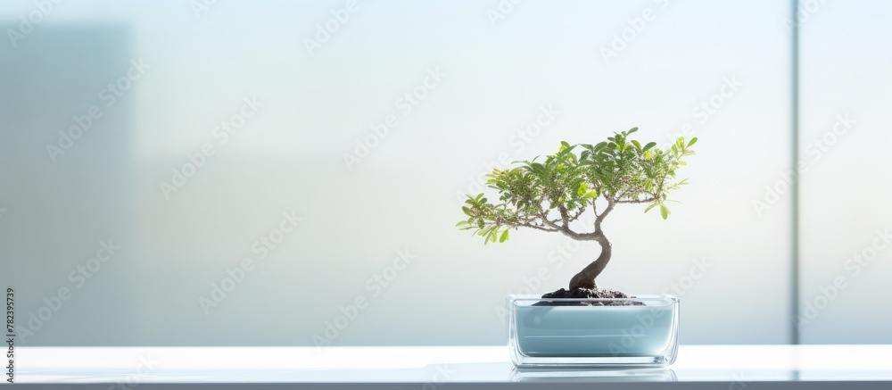 Aufkleber tiny foliage in transparent container