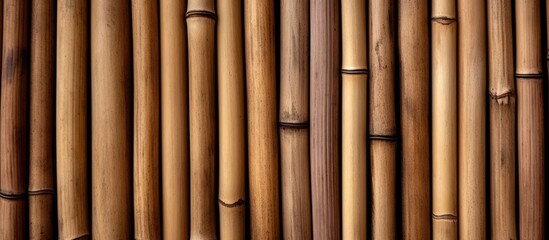 Naklejka premium Bamboo Fence Variety Close-up