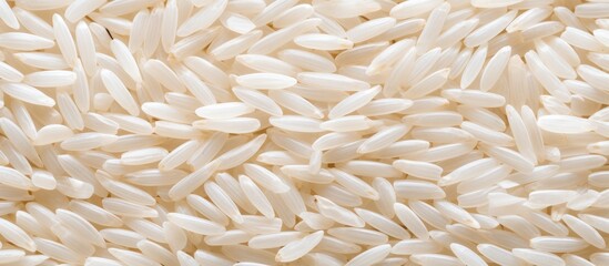Pile of White Rice