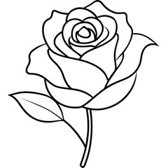 Rose Illustration: A Timeless Art Form