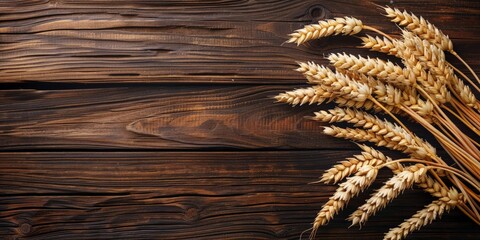Golden wheat ears on dark wooden background. Top view of ripe grains. Banner