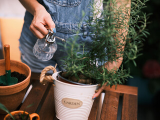 This image showcases hands using a spray bottle to water a potted plant, emphasizing plant care and gardening