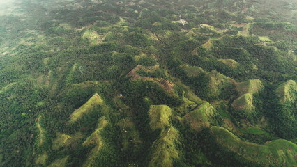 Fototapeta na wymiar Top down mountain burnt peak grass aerial view: tropic palm trees at jungle Quitinday hills of Mayon, Philippines. Asian mountainous landscape of wild nature. Forest fires autumn concept shot