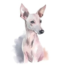 Soft and Serene Hairless Terrier Watercolor Portrait Generative AI