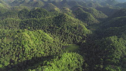 Asia green hills rainforest aerial view with lush greenery plants at mountain ranges. Amazing...