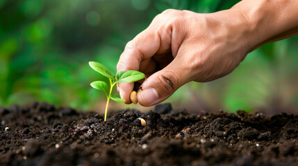 Farmer's hand planting seeds in soil agriculture concept