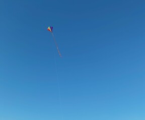 kite in the sky