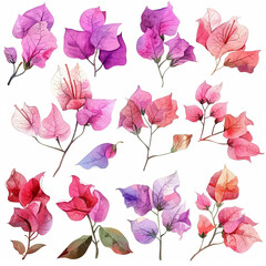 Adorable watercolor clipart set including bougainvillea bouquets, single flowers, and elements in delicate pastel shades on a white background. 