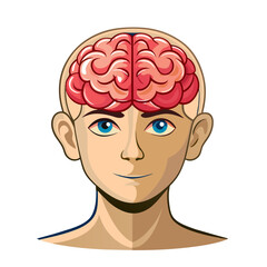 human head with brain art drawn on white background