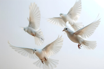 Obraz premium birds flying