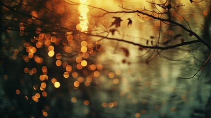 Golden Bokeh Lights Among Autumn Branches retro blur style