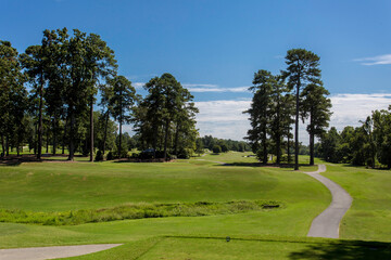 Peaceful Golf Course on A Bright Sunny Day, with A Clear Blue Sky and A Well-Manicured Path Leading Through the Green