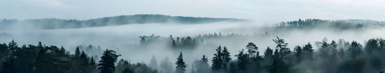 Photo sur Aluminium Forêt dans le brouillard Aerial view of a mystical foggy forest, misty morning with scenic nature view