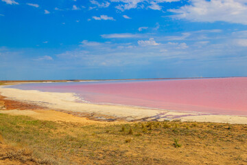 View of the pink salty Syvash lake in Kherson region, Ukraine
