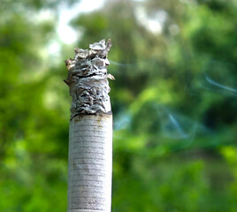 Burning cigarette with smoke in nature