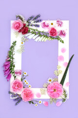 Herbal medicine summer flowers and wildflowers background frame on purple. Floral nature design for flower remedies and essence with white border.