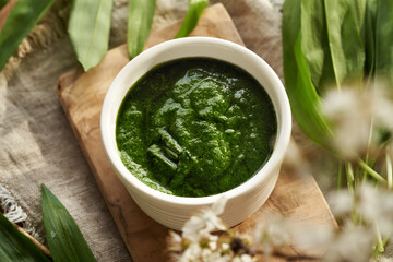 Homemade green pesto sauce made of fresh bear's garlic leaves - wild edible plant