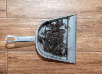 Hair in an owl. Remains of hair in a dirty dustpan. Top view of hair after shaving in a hairdresser. Barber shop cleaning
