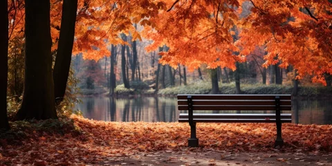 Fotobehang a bench in a park with orange leaves © Xanthius