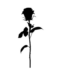 Rose flower, black flat vector, cut files - 782467902