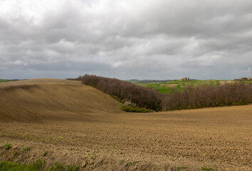 relaxing view of cultivated fields in spring