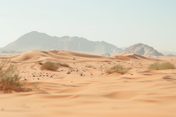 Fototapeta na wymiar Desert landscape with sand dunes - arid wilderness