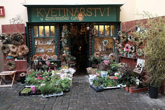 Květin&aacute;řstv&iacute; U červen&eacute;ho lva Blumenladen in einem Altbau mit sch&ouml;ner Fassade am 03.04.2024 im Stadtteil Letna in Prag an der Moldau in Tschechien