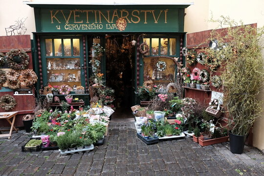 Květin&aacute;řstv&iacute; U červen&eacute;ho lva Blumenladen in einem Altbau mit sch&ouml;ner Fassade am 03.04.2024 im Stadtteil Letna in Prag an der Moldau in Tschechien