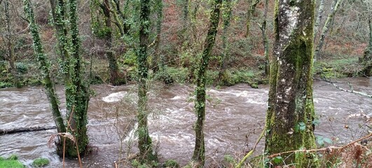 Riachuelo en la provincia de Lugo, Galicia