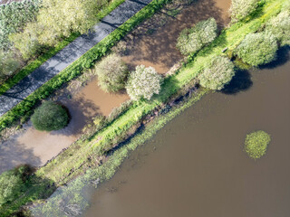 Arbres, route et eau vue du ciel