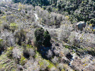 A UAV Drone View of the Thurman Flats Area of the San Bernardino National Forest and Mill Creek Near Yucaipa, and Redlands, California