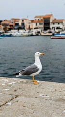 CARRO - MARTIGUES (Bouches-du-Rhône)