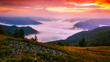 Carpathian mountains, Ukraine, Europe, amazing panoramic summer scenery - obrazy, fototapety, plakaty