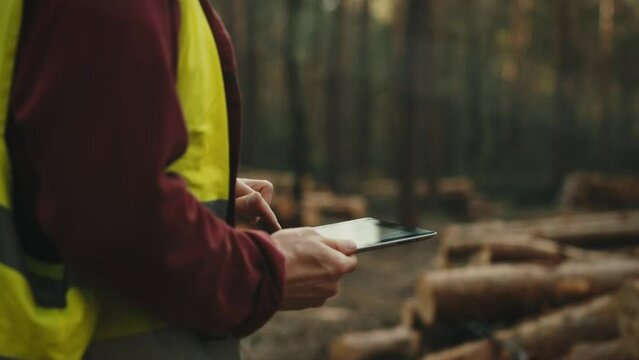 Surrounded by forests, logger engineer in safety helmet and a bright vest records information on his tablet. By checking the data on the trees cut down he is convinced of the effectiveness of his work
