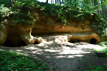 cave in forest