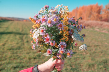 Bukiet polnych kwiatów | Bouquet of the wild flowers - obrazy, fototapety, plakaty