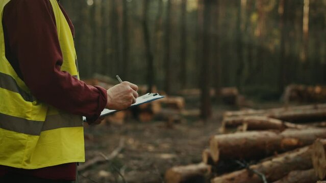 Wearing hard hat and vest the engineer leading team of loggers concentrates on recording information, reporting on the work his team has completed. Is at the place of work, carefully checking the data
