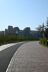 Fototapeta premium road to the city