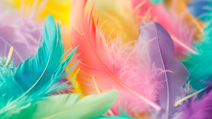 Obraz premium pastel rainbow colour feather, abstract background texture.