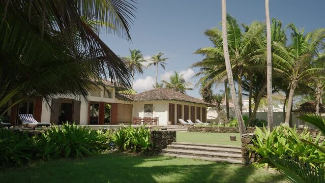 Tropical evergreen garden with trees, bushes, flowers and exotic plants in patio of luxury retro villa. Island resort with unusual flora, backyard with pool, place for rest and sunbath in summer.