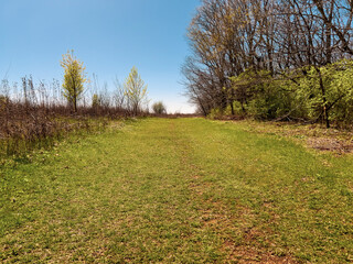 Wide open outdoor space with a lush green grassy path running through a flat field. Clear blue skies overhead. Captured at springtime.