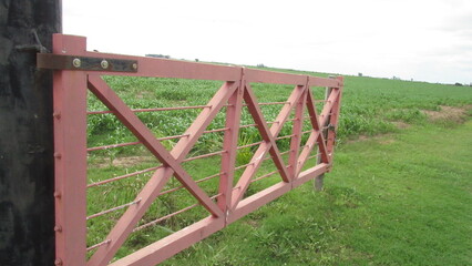 wooden bridge