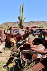 vintage cars from the 1940s rusting in the desert