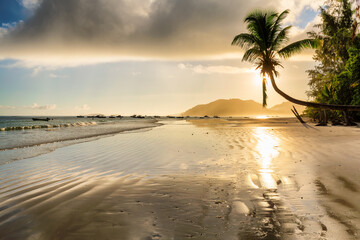 Tropical beach at sunrise on Seychelles island.	