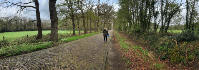 Walking the dog. Going for a stroll. Street at Rheebruggen Uffelte Drenthe Netherlands. Panorama. Stroller. 