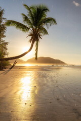 Tropical beach with coco palms and the turquoise sea at sunrise on Seychelles island.	