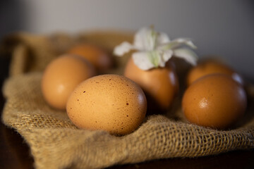 Foreground chicken egg on fabric. Farm products, natural eggs.